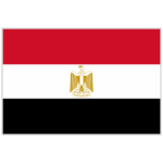 flag 14009645